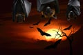 Scary bat heads hanging down from roof Royalty Free Stock Photo