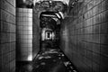 Scary and beautiful corridor in the abandoned building Royalty Free Stock Photo