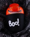 Scary Boo! Trick or treat loot bag with evil grinning pumpkin head on cobweb background. Royalty Free Stock Photo