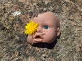 scary and broken doll face with one blue eye and a yellow dandelion instead of another Royalty Free Stock Photo