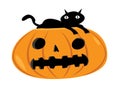 Scary Cat resting on a Halloween Pumpkin Royalty Free Stock Photo