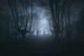 Scary dark forest with creepy trees Royalty Free Stock Photo