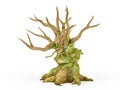 Scary dead tree with creeping plant isolated on white background, 3D rendering Royalty Free Stock Photo