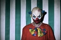Scary evil clown in the circus Royalty Free Stock Photo