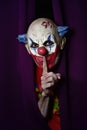 Scary evil clown asking for silence Royalty Free Stock Photo