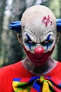 Scary evil clown in the woods