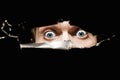 Scary eyes of a man spying through a hole Royalty Free Stock Photo
