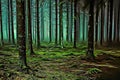 Scary forest - Art Collection