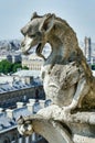 Notre-Dame Dragoon Gargoyle