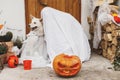 Scary ghost and cute dog with Jack o lantern at front of house with spooky halloween decorations on porch. Trick or treat! Person Royalty Free Stock Photo