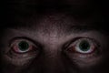 Scary green eyes Royalty Free Stock Photo