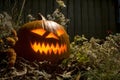 Scary Halloween Jack o Lantern