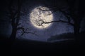 Scary halloween landscape at night with trees and full moon Royalty Free Stock Photo
