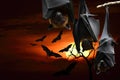 Scary halloween night party with red eyes hanging bats, horror festival Royalty Free Stock Photo