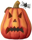 Scary Halloween pumpkin head and spider isolated on white. Royalty Free Stock Photo