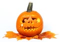 Scary Halloween pumpkin isolated on white background Royalty Free Stock Photo