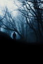 A scary, hooded figure standing in an eerie, spooky forest. On a misty winters days