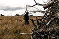 A scary hooded figure standing in a field framed by branches with a muted edit