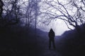 A scary hooded figure standing in a foggy woodland in winter, with a hard blue edit