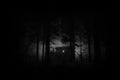 scary house in mysterious horror forest at night in black and white with grungy textures Royalty Free Stock Photo