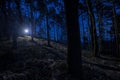 Scary light in a dark forest transmitting light onto floor or gravel path in the middle of the night. Visible nice streak or sun