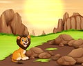 Scary lion in the nature at sunset background