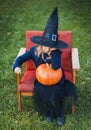 Scary little girl in witch costume, hat with big pumpkin celebrating halloween holiday. Sitting on armchair in coat with pumpkin. Royalty Free Stock Photo