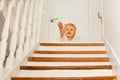 Little toddler stretch hand on top of stairs Royalty Free Stock Photo