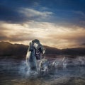 Scary Loch Ness Monster emerging from water Royalty Free Stock Photo