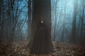 Scary masked man in a misty forest