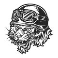 Scary motorcyclist tiger head Royalty Free Stock Photo