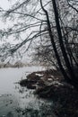 Scary mysterious forest with green light and frozen lake in fog in winter. Nature misty landscape. Scary halloween Royalty Free Stock Photo