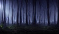 scary night forest with mist, high resolution night horror concept