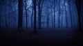 scary night forest with mist