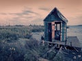 Scary old terrible abandoned hut, wooden creepy house on mysterious empty uninhabited swamp with dead trees and Royalty Free Stock Photo