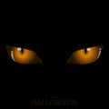 Scary orange cat's eyes Royalty Free Stock Photo