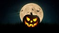 Scary pumpkin and bats in a field with a full orange moon at night . Happy halloween dark wallpaper Royalty Free Stock Photo