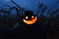 Scary pumpkin scarecrow in a hat Royalty Free Stock Photo