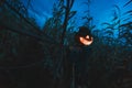 Scary pumpkin scarecrow in a hat Royalty Free Stock Photo