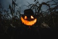 Scary pumpkin scarecrow in a hat Royalty Free Stock Photo