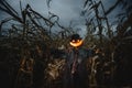 Scary pumpkin scarecrow in a hat Royalty Free Stock Photo