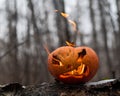 Scary pumpkin with tongues of flame in a dense forest. Jack o lantern for halloween Royalty Free Stock Photo