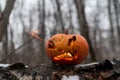 Scary pumpkin with tongues of flame in a dense forest. Jack o lantern for halloween Royalty Free Stock Photo