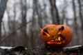 Scary pumpkin with tongues of flame in a dense forest. Jack o lantern for halloween Royalty Free Stock Photo