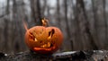 Scary pumpkin with tongues of flame in a dense forest. Jack o lantern for halloween Royalty Free Stock Photo