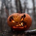 Scary pumpkin with tongues of flame in a dense forest. Jack o lantern for halloween Royalty Free Stock Photo