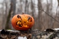 Scary pumpkin with tongues of flame in a dense forest. Jack o lantern for halloween Royalty Free Stock Photo