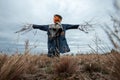 A scary scarecrow with a halloween pumpkin head in a field in cloudy weather. Halloween background, copy space Royalty Free Stock Photo