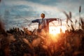 Scary scarecrow with a halloween pumpkin head in a field at sunset. Halloween background, copy space Royalty Free Stock Photo