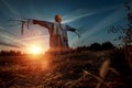 Scary scarecrow with a halloween pumpkin head in a field at sunset. Halloween background, copy space Royalty Free Stock Photo